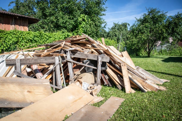Best Yard Waste Removal  in Belleville, MI