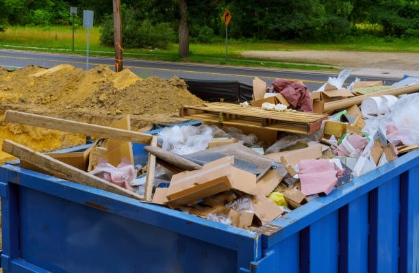 Best Shed Removal  in Belleville, MI